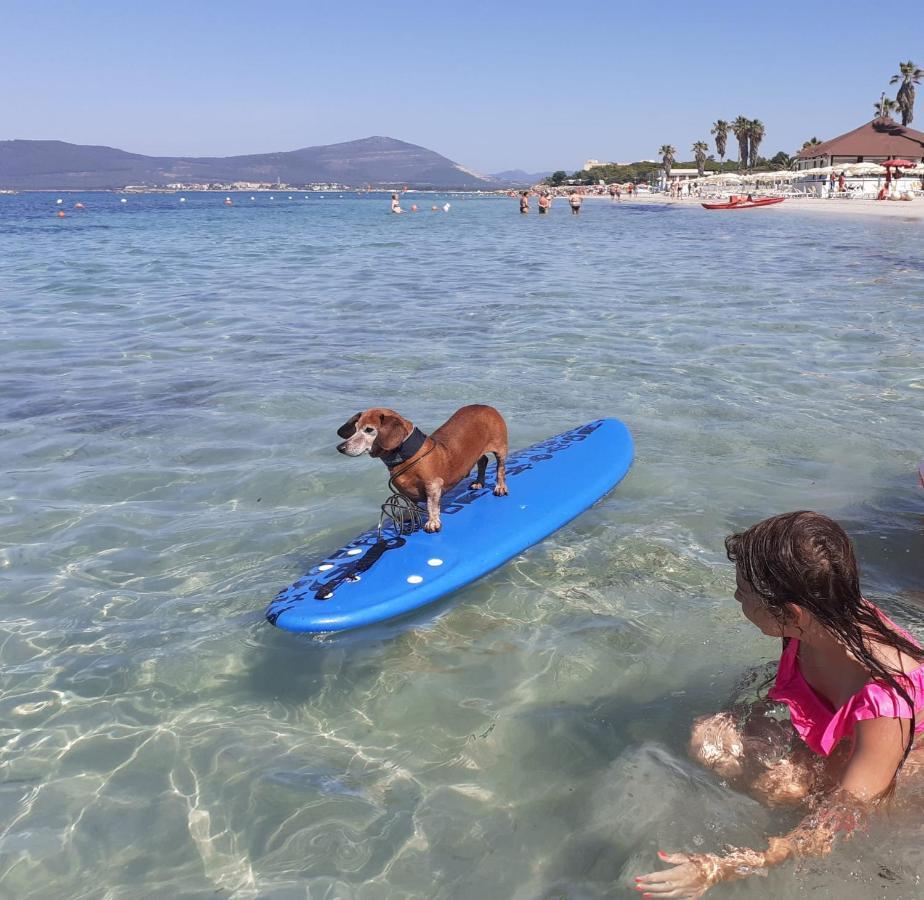 דירות Alghero Lido Monolocale מראה חיצוני תמונה